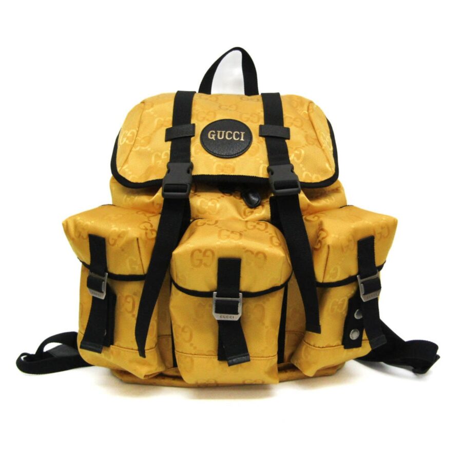 Designer Backpack bag – front view
