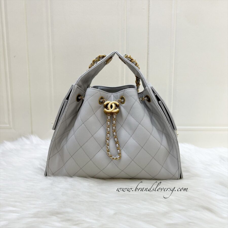 Chanel Hobo grey bag – front view
